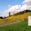 Отель Weingut Winzerzimmer Rothschädl, фото 20