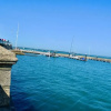 Отель Mulberry 3 bed Cowes Cottage, Solent Views (Sleeps 6), фото 24