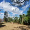 Отель Cabina y Finca Soan, фото 17