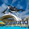 Отель King Beds Apt by SeaWorld. Pool, Hot Tub, Gym, фото 23