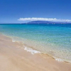 Отель Maui Vista Resort, фото 12
