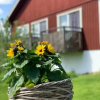 Отель Kullerbacka Gästhus, фото 21