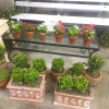 Отель A Cortiña de Canalarrana, фото 23