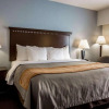 Отель Comfort Inn, фото 5