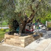 Отель Sotto l'Ulivo, фото 21