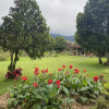 Отель Buyan Resort, фото 17