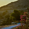 Отель Under the Sun Cycladic Village, фото 25