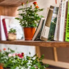 Отель Guzang Xiangbala Diannan Wufu Boutique Inn, фото 15