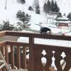 Отель Appartement Les Deux Alpes, 3 pièces, 8 personnes - FR-1-516-102 в Мон-де-Лане