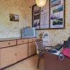 Отель Honeywood Holiday Homes, фото 10
