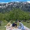 Отель Welcomhotel By ITC Hotels Hamsa Manali, фото 7