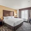 Отель Cobblestone Hotel & Suites - Cullman, фото 3