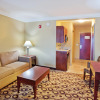 Отель Holiday Inn Express Hotel & Suites Macon-West, an IHG Hotel, фото 5