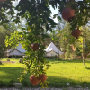 Отель Kunduz Kamp, фото 12