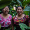 Отель Lush Atitlan, фото 26