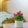 Отель Alianthos Beach Hotel, фото 12