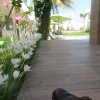 Отель Villa Escondida Campeche, фото 14