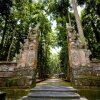 Отель Green Papaya House, фото 20