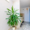 Отель Rooms Nikola, фото 11
