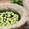 Отель Bujin Homestay, фото 1