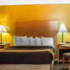 Отель Econo Lodge At The Falls North, фото 7