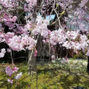 Отель Yuhigaura Onsen Konoya, фото 11