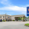 Отель Comfort Inn Ludington near US-10, фото 35