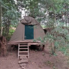 Отель Irungu Forest Safari Lodge, фото 25