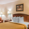 Отель Quality Inn Pell City I-20 exit 158, фото 6