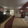 Отель Red Roof Inn Houston - Brookhollow, фото 4