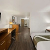 Отель Quality Inn & Suites Metro, фото 6
