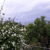 Отель Apartment With 3 Bedrooms in Santa Maria Salina, With Wonderful sea View and Enclosed Garden - 300 m, фото 15