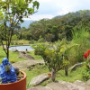 Отель Finca Ecolodges El Ocelote, фото 12