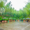 Отель 宜宾长宁蜀南竹海逍遥谷大酒店, фото 1