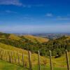 Отель Bella Vista - Palmerston North, фото 26