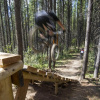 Отель Panorama Mountain Resort, фото 30