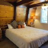 Отель The Cozy Bear Cabin, фото 2