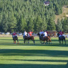 Отель Casa de Montaña Golf & Polo - San Martin de los Andes, фото 7