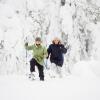 Отель Santa's Igloos Arctic Circle, фото 25