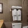 Отель Best Western Premier Airport/Expo Center Hotel, фото 10