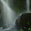 Отель Coati Lodge, фото 17