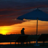 Отель The White Camel Lodge & Tents, фото 13