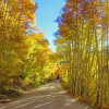 Отель Mountainside 355a, фото 8