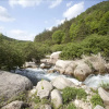 Отель Danyang Hwangjeongsan Pension, фото 25