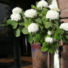 Отель Logis Hotel Xoko-Goxoa, фото 7