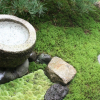 Отель Hostel Haruya Aqua, фото 13