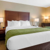Отель Comfort Inn & Suites at CrossPlex Village, фото 21
