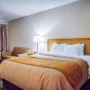 Отель Comfort Inn, фото 5