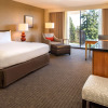 Отель DoubleTree by Hilton Seattle Airport, фото 4