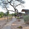 Отель Sentrim Samburu Lodge, фото 8